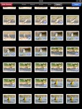 Apple iPad camera connection kit