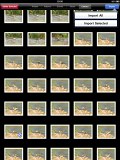 Apple iPad camera connection kit