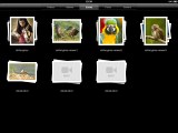 Apple iPad camera connection kit