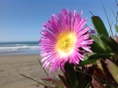 New iPad camera sample