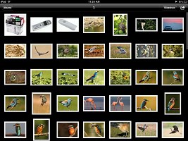 Apple iPad