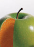 Apples and Oranges: iPhone 3G and 3GS coming to Orange UK - read the full text