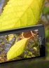 Bunch of Sony Ericsson XPERIA X10 camera and video samples - read the full text