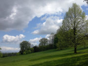 Nokia N8 camera sample