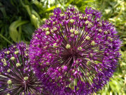 Nokia N8 camera sample