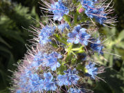 Nokia N8 camera sample