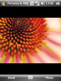 LG KS20 screenshots