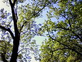 LG KE850 Prada