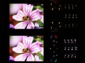 Nokia N96