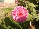Samsung B7610 OmniaPRO camera sample