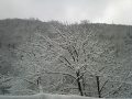 Samsung G600 camera photos