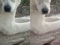 Samsung G800 vs. SE K850 crops