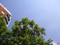 Samsung i8510 INNOV8 camera sample