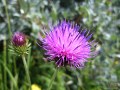 Samsung i8510 INNOV8 camera sample
