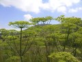 Samsung i8510 INNOV8 camera sample