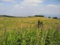 Samsung i8510 INNOV8 camera sample