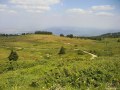 Samsung i8510 INNOV8 camera sample
