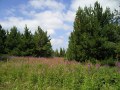 Samsung i8510 INNOV8 camera sample
