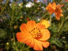 Samsung Omnia HD camera sample