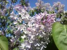 Samsung i8910 Omnia HD