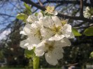 Samsung S8300 camera samples