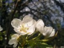 Samsung S8300 camera samples