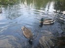Samsung S8300 camera samples