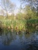 Samsung S8300 camera samples