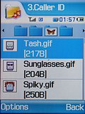 Samsung Z560