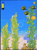 Sony Ericsson K800