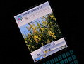 Sony Ericsson P990
