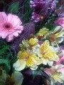 Sony Ericsson W760 camera samples