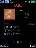 Sony Ericsson W595
