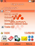Sony Ericsson W950
