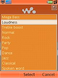 Sony Ericsson W950