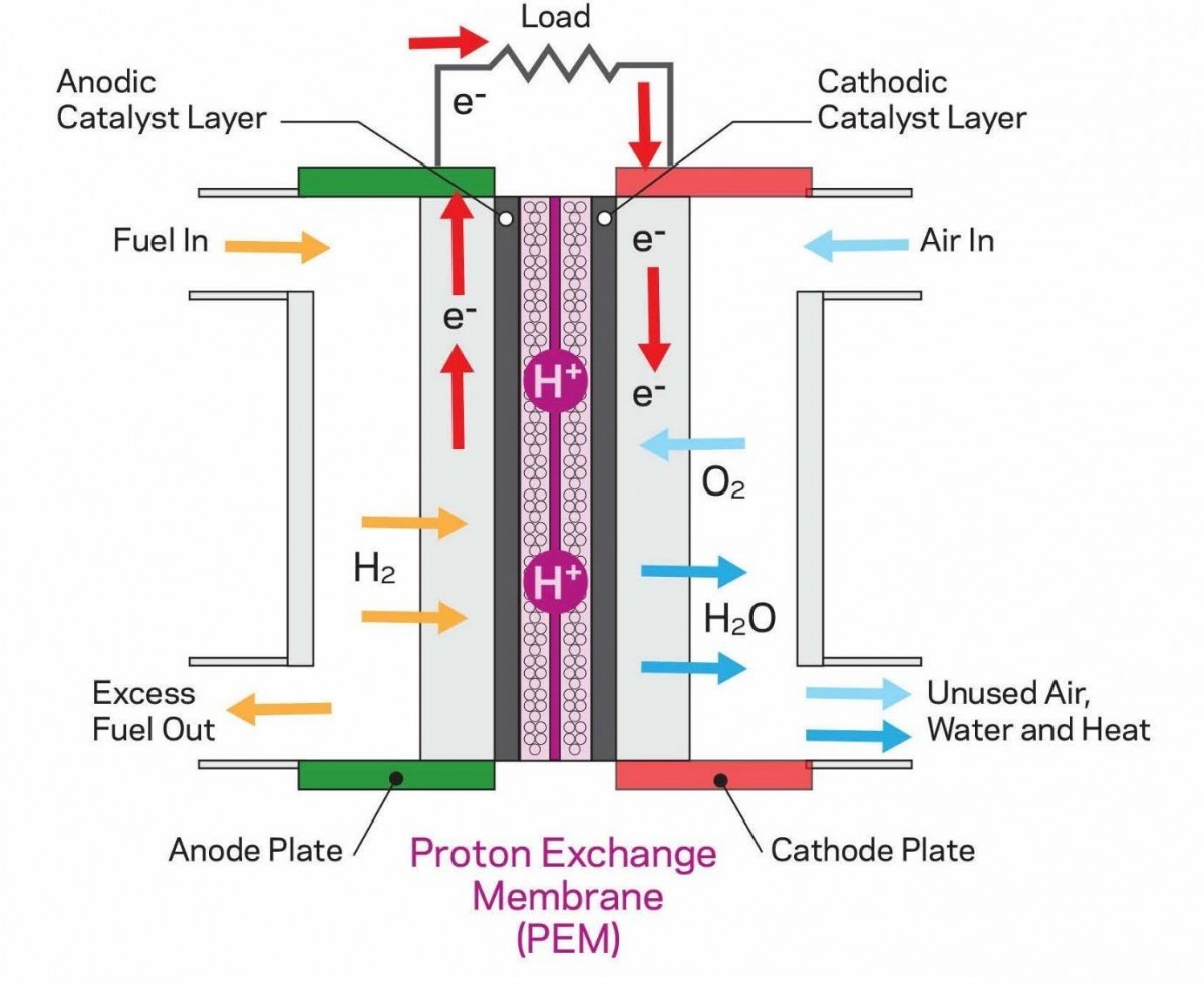 Nafion proton exchange membrane fuel cell