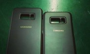 Official Samsung Galaxy S8 cases surface