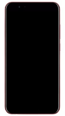 Huawei Honor V10 / Honor 9 Pro (leaked image)