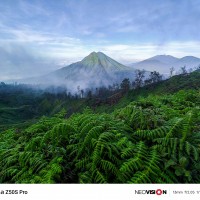 nubia Z50S Pro camera samples