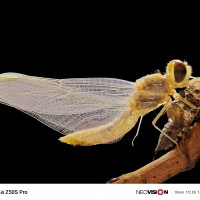 nubia Z50S Pro camera samples