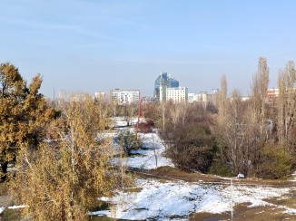 Main camera, 2x from main camera - f/1.8, ISO 100, 1/455s - Honor X7b Hands On  review