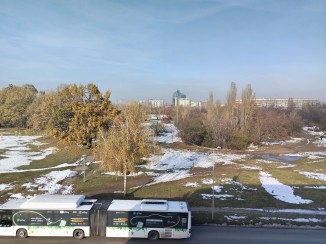 Main camera - f/1.8, ISO 100, 1/435s - Honor X7b Hands On  review