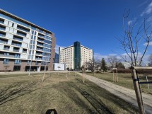 Samsung Galaxy S24 daylight samples: 0.6x