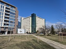 Samsung Galaxy S24 daylight samples: 1x