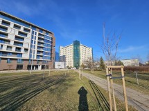 Samsung Galaxy S23 daylight samples: 0.6x