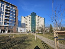 Samsung Galaxy S23 daylight samples: 1x