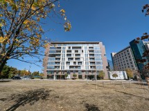 Google Pixel 8: 0.6x