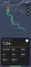 Activity tracking metrics in Mi Fitness app