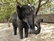 Primary camera, 12.6MP, 1x magnification (26mm)