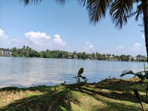 Primary camera, 50.3MP, 1x magnification (26mm)